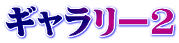 ギャラリー2
